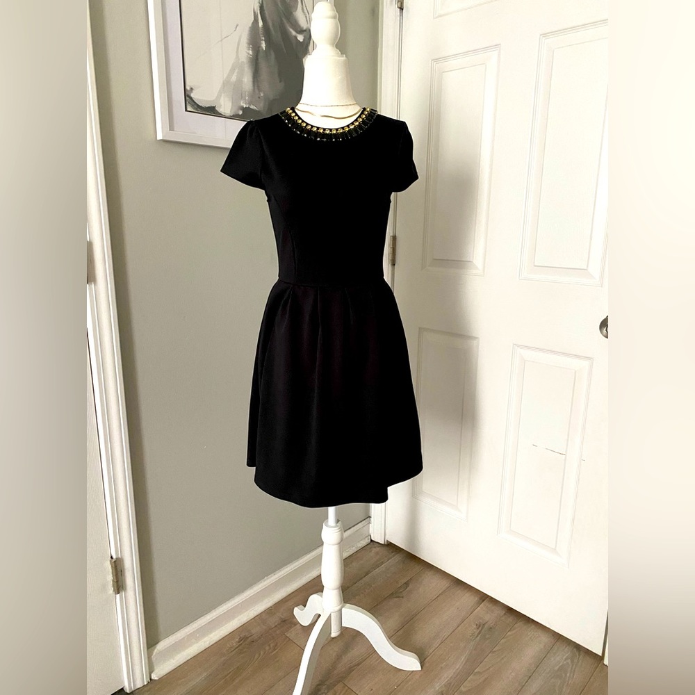 Fit and flare little black dress